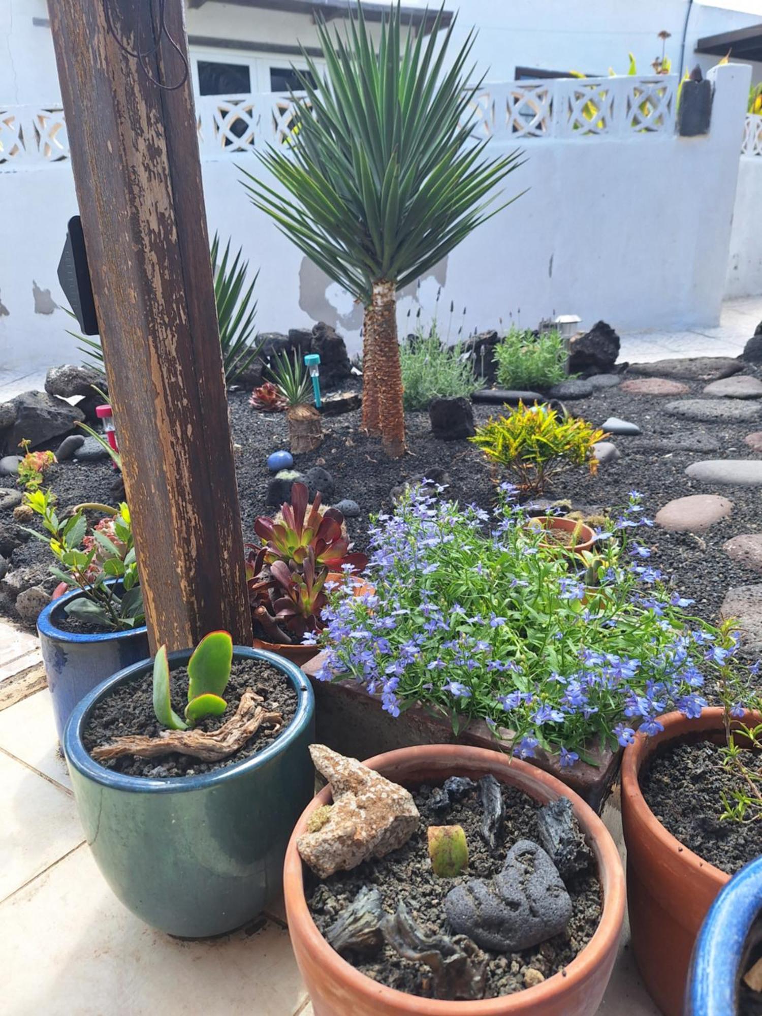 テギセ Casita Pequena Lanzaroteヴィラ エクステリア 写真